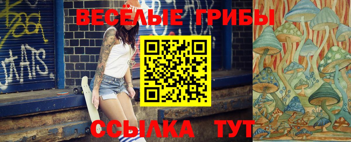 Псилоцибиновые грибы Psilocybe  Вход с VPN  Белгород  Псилоцибиновые грибы MAGIC MUSHROOMS 